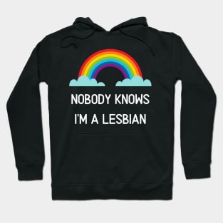 Nobody Knows I'm A Lesbian Funny Gay Pride Shirt Hoodie